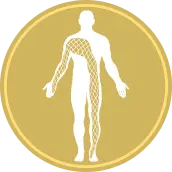 Fascia