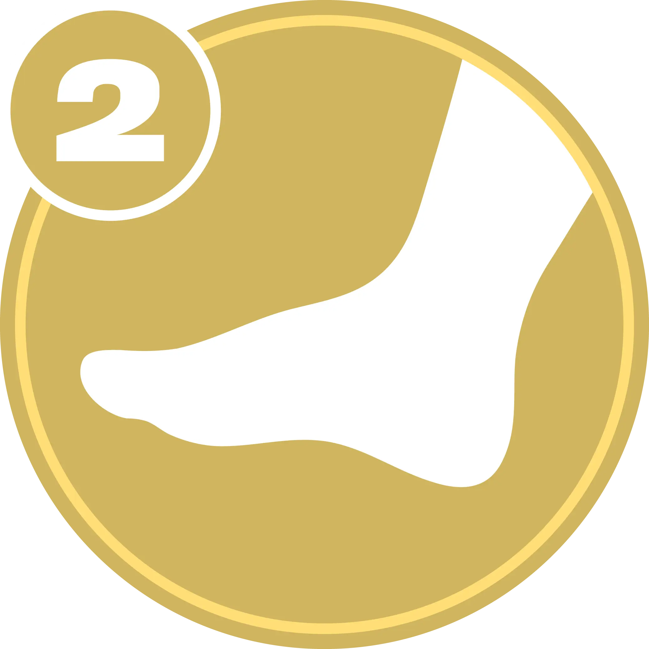 Lower Extremity Level 2