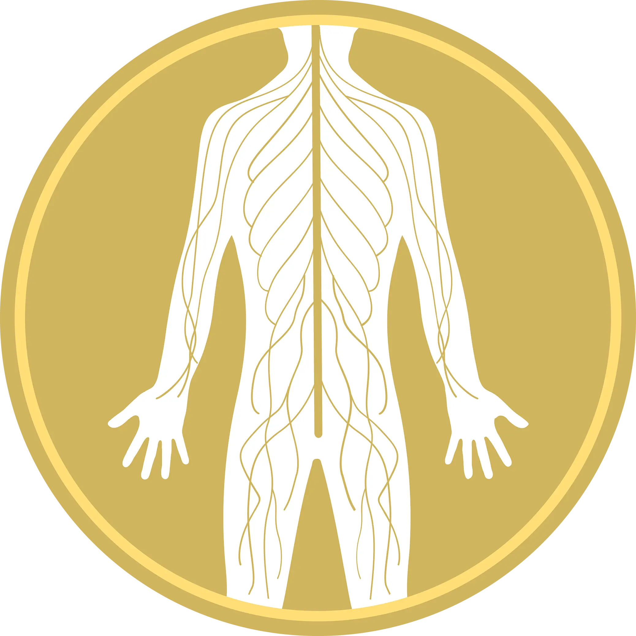 Nerve