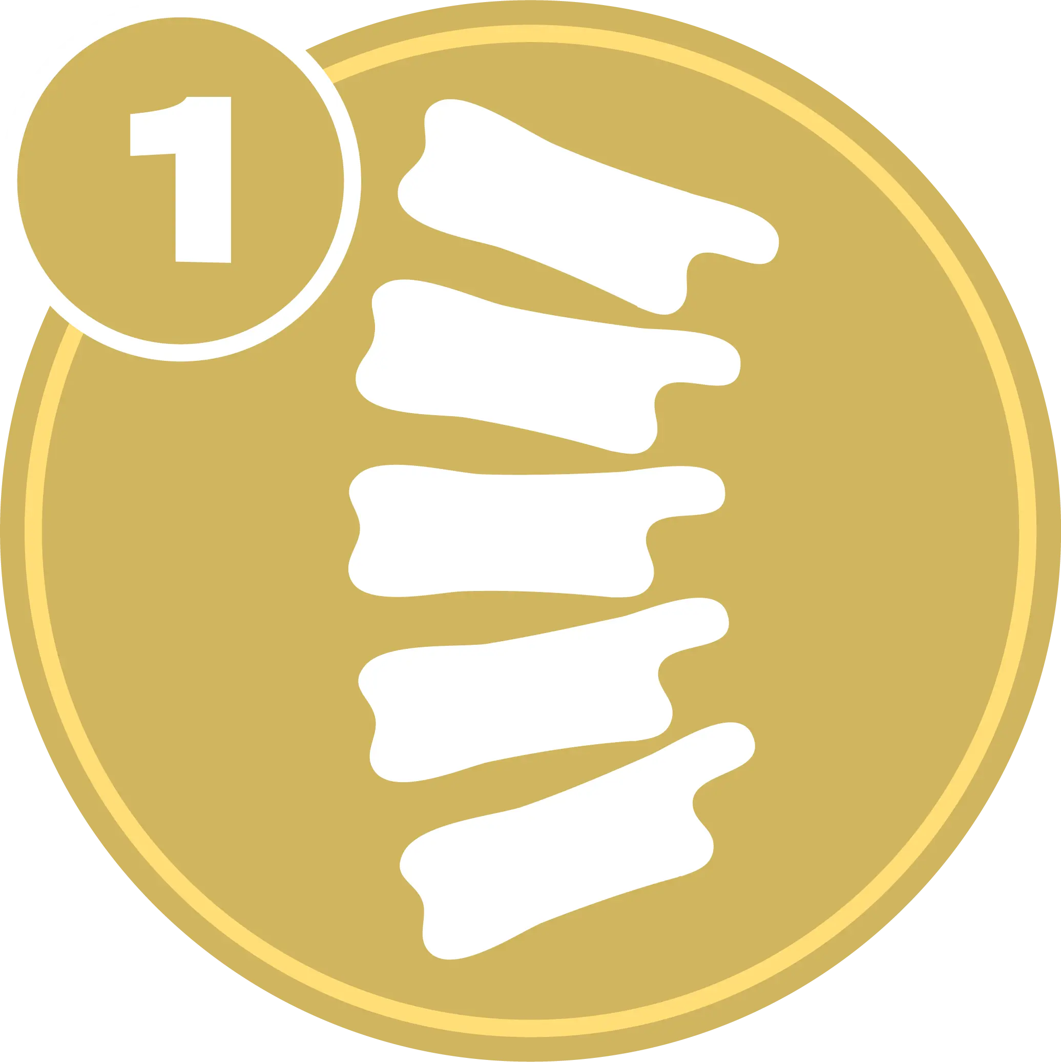 Spine Level 1