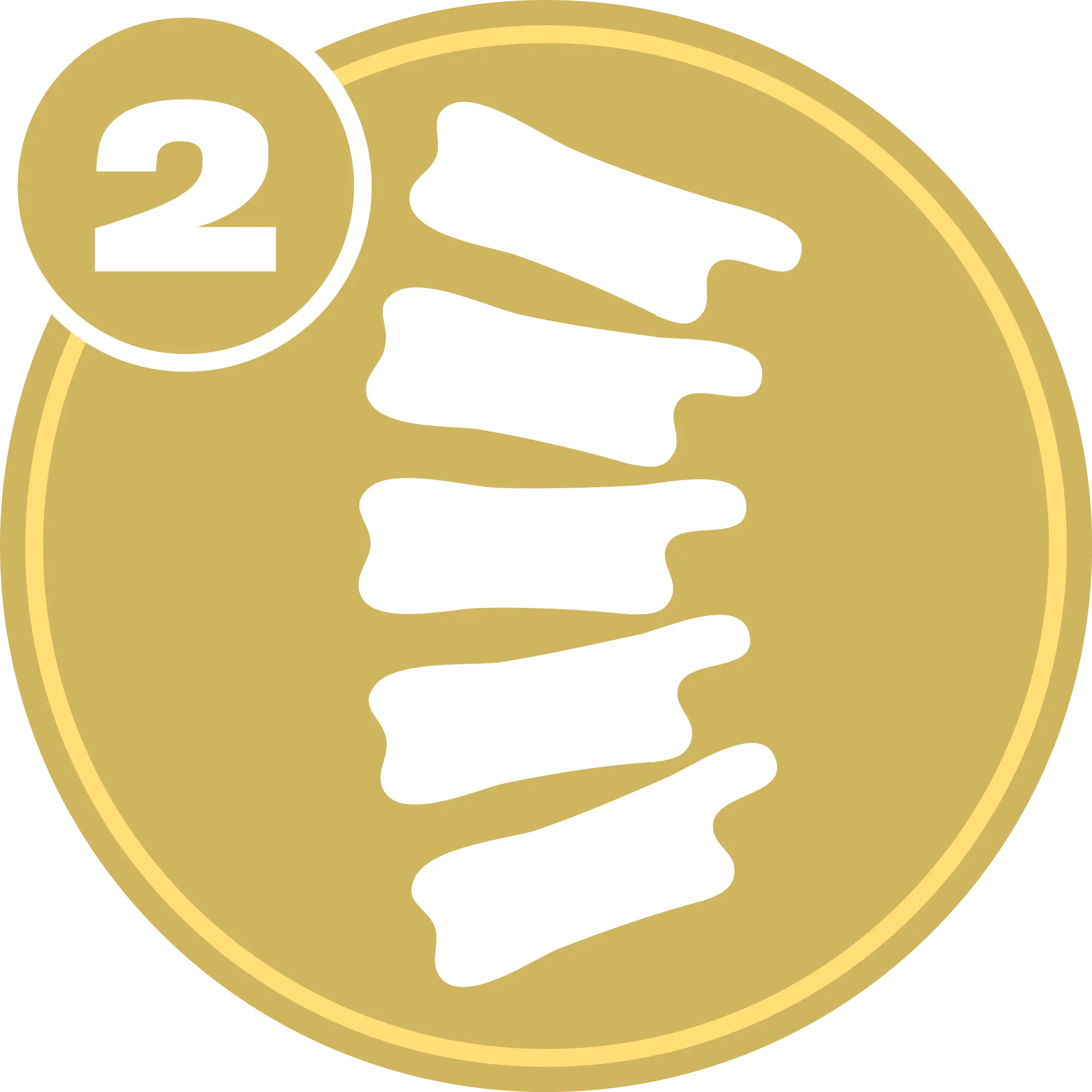 Spine Level 2